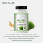 Wheat Grass Capsules (60 Count) – 100% Organic Plant-Based Immunity Booster | Natural Detox Supplement for Digestion, Energy & Stamina | Supports Glowing Skin & Healthy Hair | Non-GMO & Chemical Free - Image 4