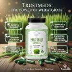 Wheat Grass Capsules (60 Count) – 100% Organic Plant-Based Immunity Booster | Natural Detox Supplement for Digestion, Energy & Stamina | Supports Glowing Skin & Healthy Hair | Non-GMO & Chemical Free - Image 3