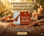 Lush Leaf Sandal Soap | Handmade Sandalwood Soap for Clear & Glowing Skin - Image 7