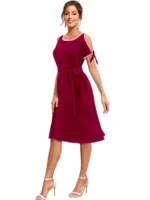 Dress-up Women's Knee Length Dress, Fit and Flare Style with Sleeveless Design, Round Neck - Image 2