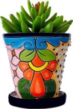 Earthy Elegance Hand-Painted Clay Pot for Home Décor & Plants